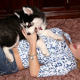 2011-November-Chloe-and-Casi-in-Cary,-NC-(1)