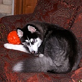 2012-March-Chloe-in-Cary-(11)