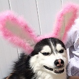 2014-04-Easter-Chloe