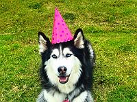 2015---09-September-Chloe-4-years-01