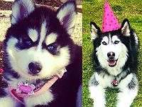 2015---09-September-Chloe-4-years