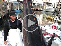 2019-02-February-Billon-Tuna