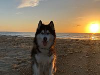 2019-08-Chloe (1)