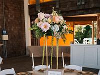 2024-10- October-Casi-Wedding (275)