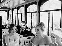 2024-10- October-Casi-Wedding (376)