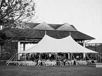 2024-10- October-Casi-Wedding (484)