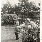 1954-Fred-in-Friesland