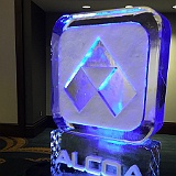 2016-Aluminum-Extruders-Council-Meeting-in-San-Antonio-TX-(83)