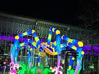 2023-12-December (34)